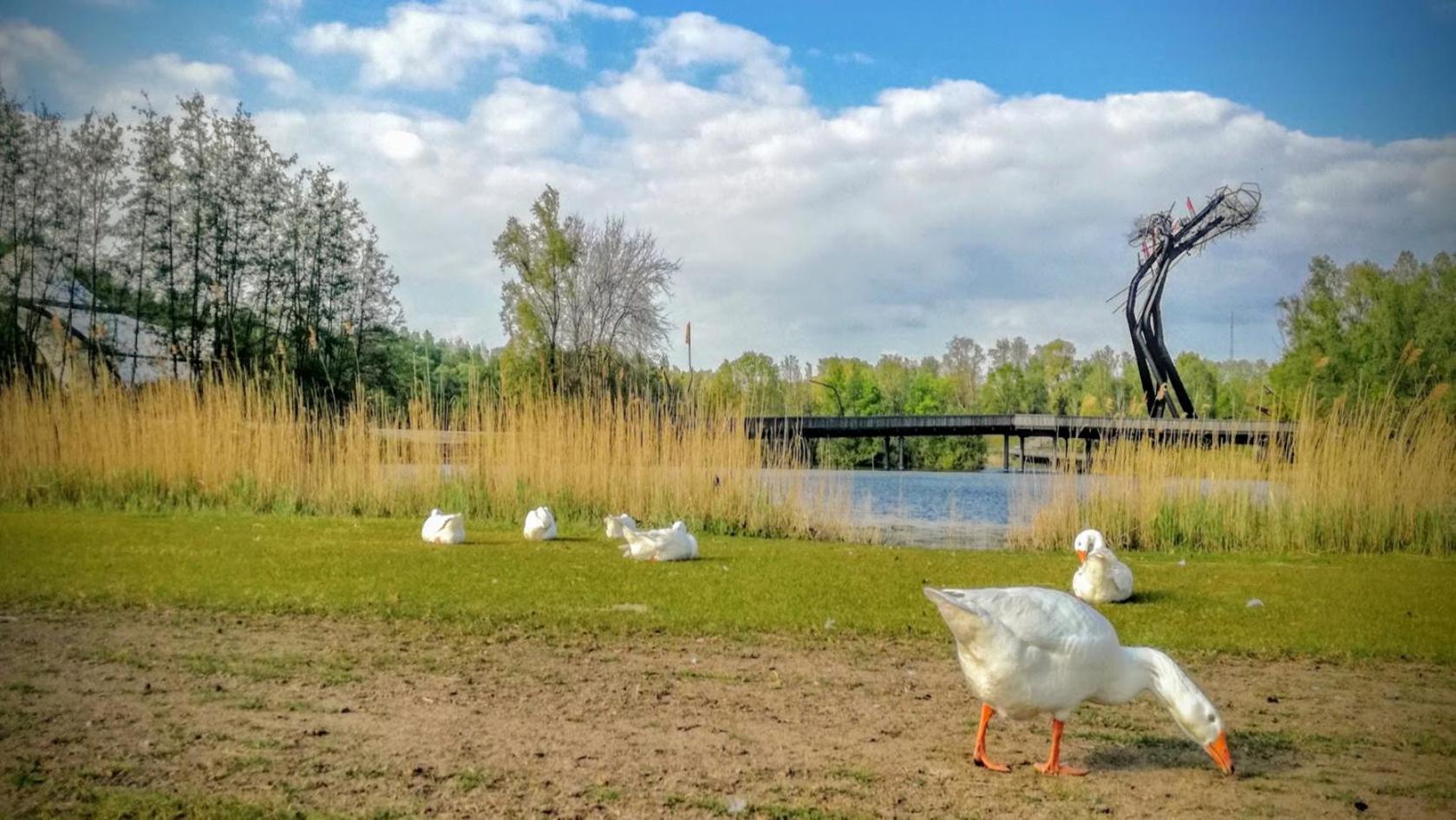 B&B De Schorre Boom Zewnętrze zdjęcie
